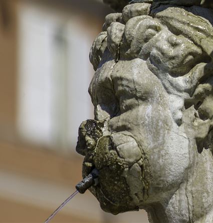 Fontana del Masini - Cesena