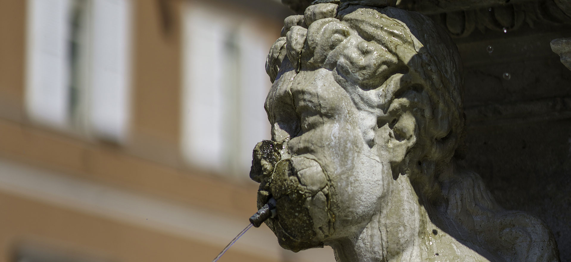Fontana del Masini - Cesena