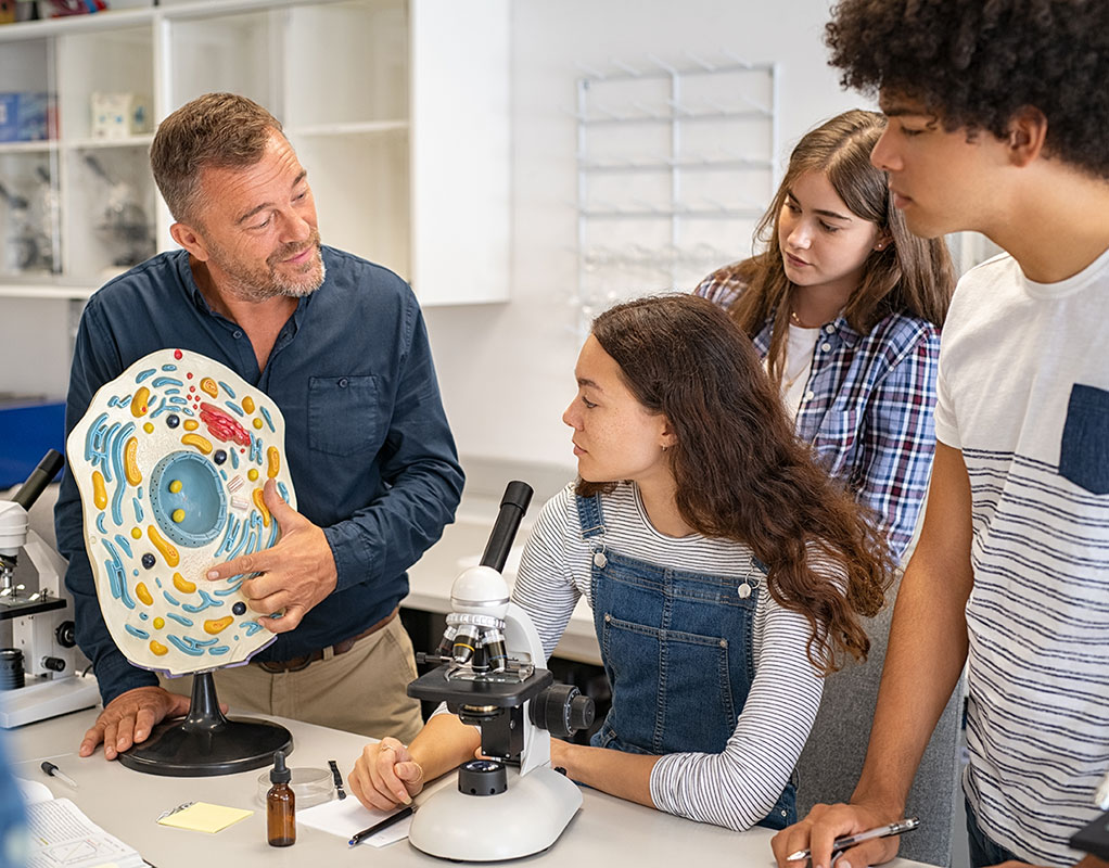 Percorsi di istruzione PCTO personalizzati per le scuole
