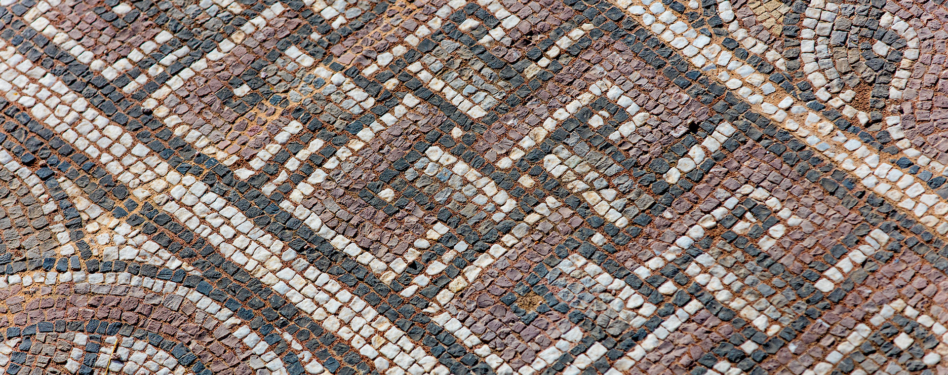 Viaggio istruzione al Domus dei tappeti di pietra